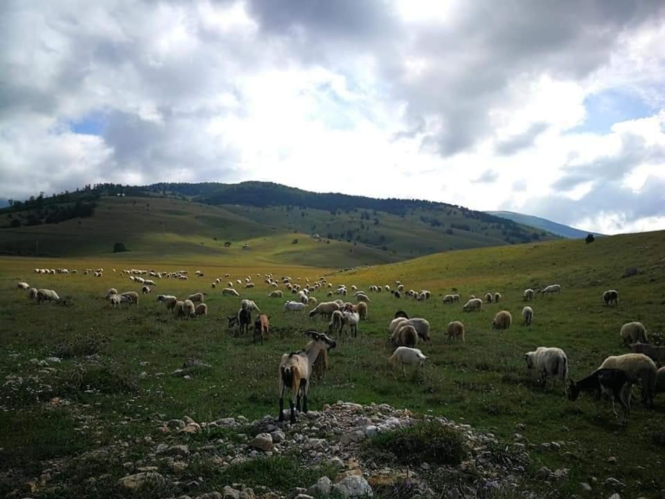 Natura As Gornji Lukomir Екстериор снимка